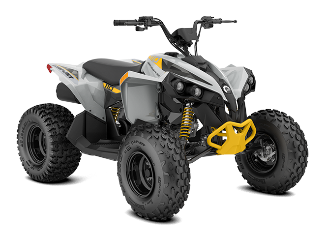 RENEGADE 110 EFI